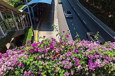 《天国：拯救2》确认有多个结局 主角从男人蜕变成战士